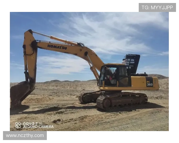 挖掘机核电站特种挖机