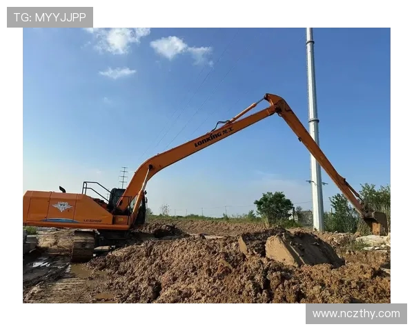 挖掘机高空拆除加长臂